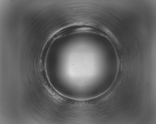 X0000081280876200701111330