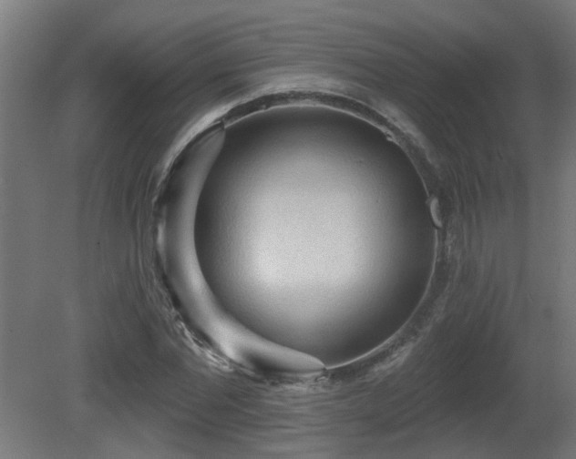 X0000081280877200701111329