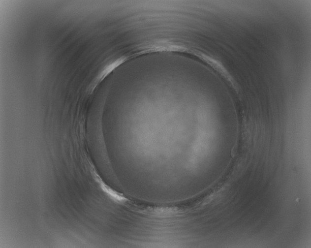 X0000081280889200701111329
