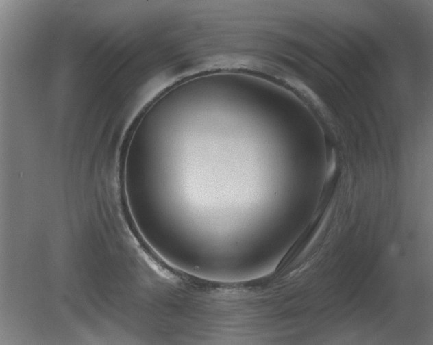 X0000081280894200701111329
