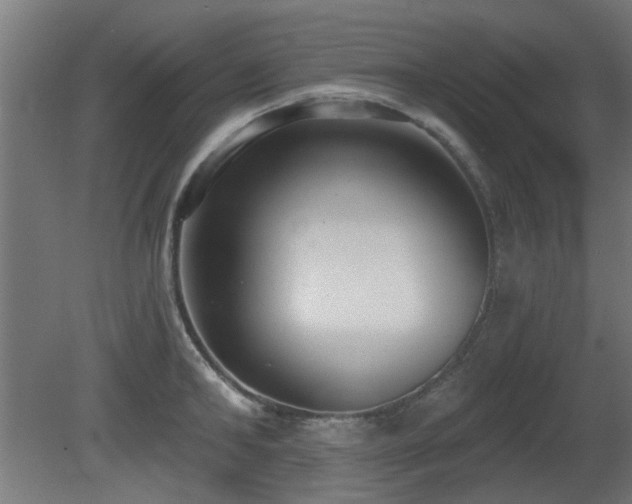 X0000081280902200701111329