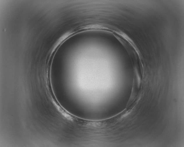 X0000081280909200701111329