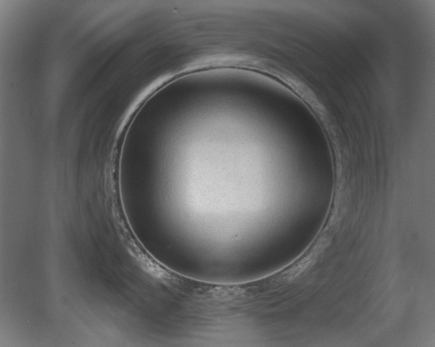 X0000081280912200701111329