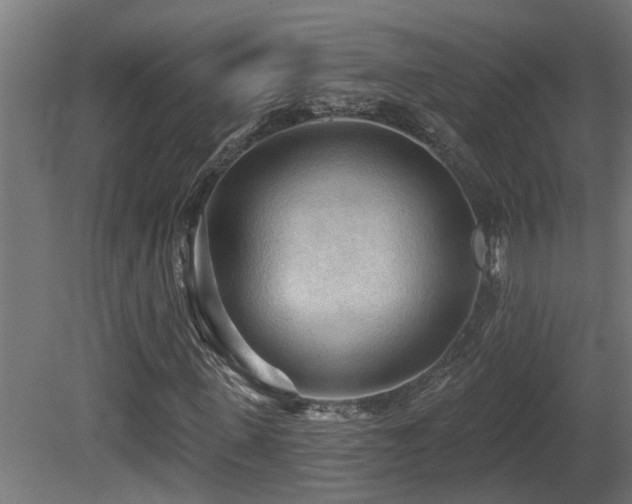 X0000081280915200701111328
