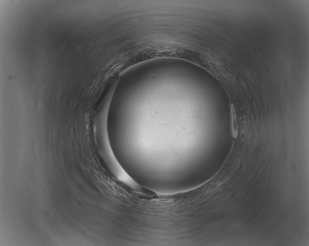 X0000081280916200701111328
