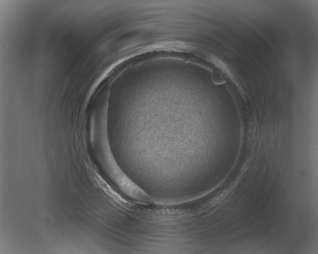 X0000081280923200701111328