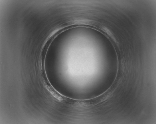 X0000081280931200701111328