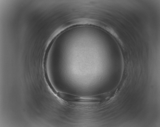 X0000081280943200701111329