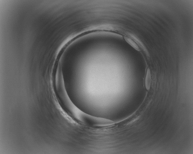 X0000081280944200701111329