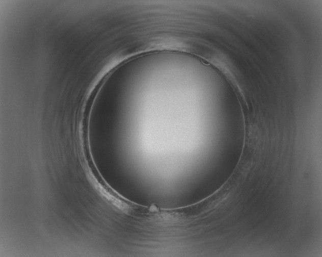 X0000081280947200701111329