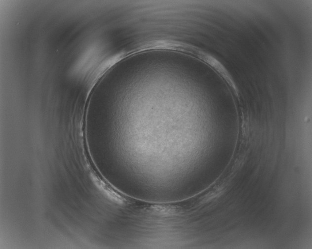 X0000081280954200701111329