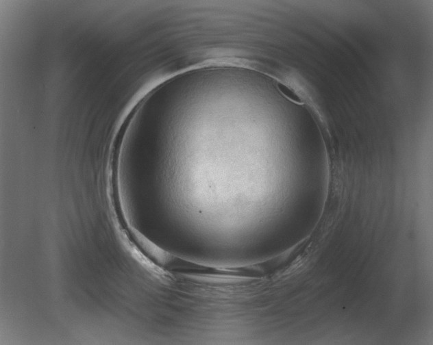 X0000081280955200701111329