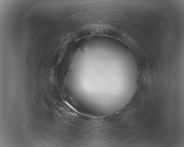 X0000081280964200701111328