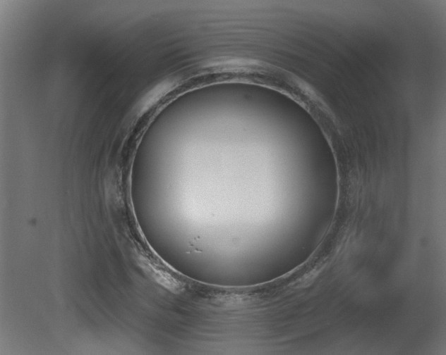 X0000081280970200701111328