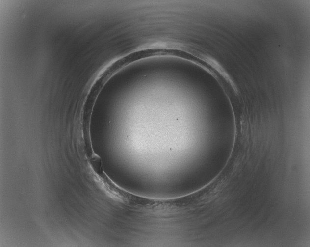 X0000081280972200701111328