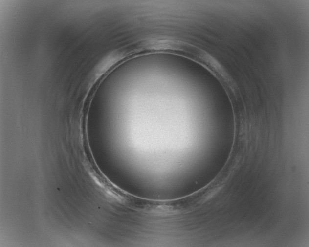 X0000081280986200701111328