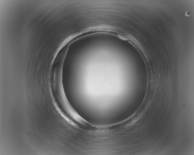 X0000081280989200701111327