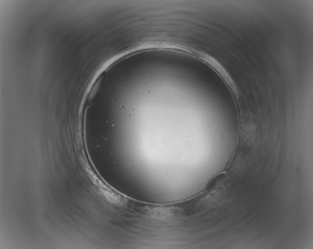 X0000081281004200701111327