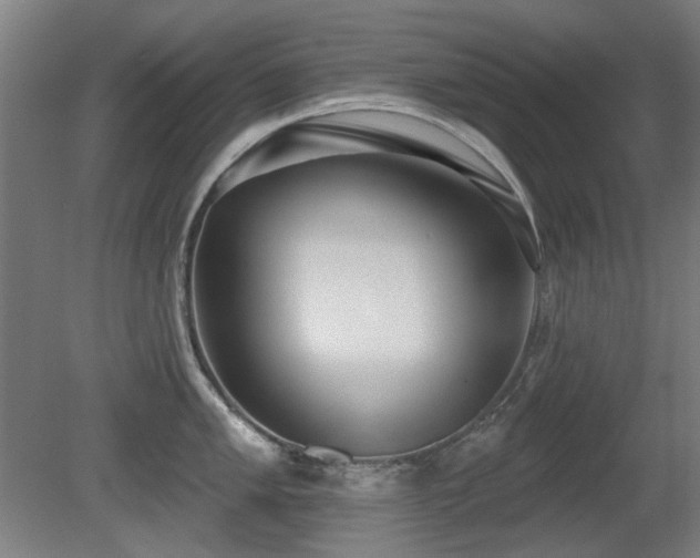 X0000081281005200701111327