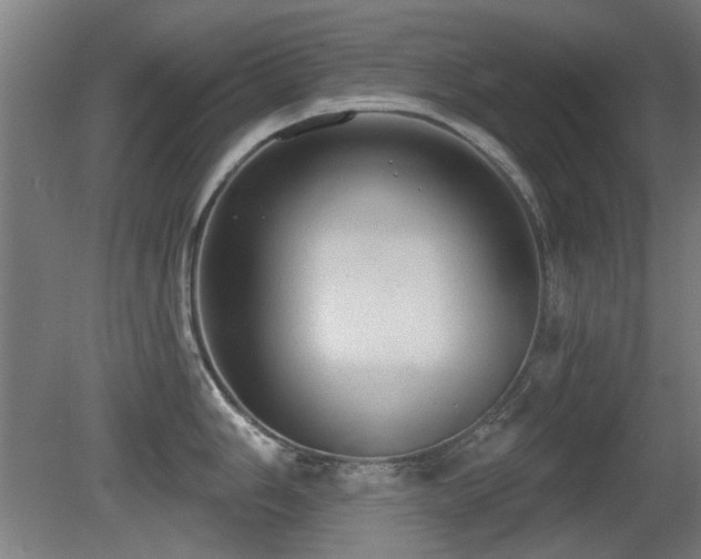 X0000081281006200701111327