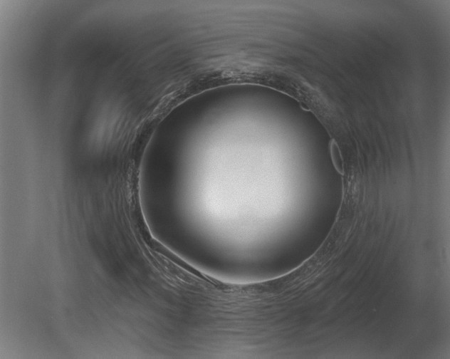 X0000081281012200701111326