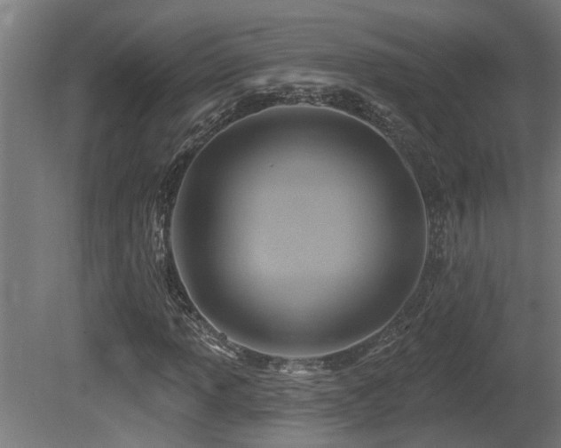 X0000081281013200701111326