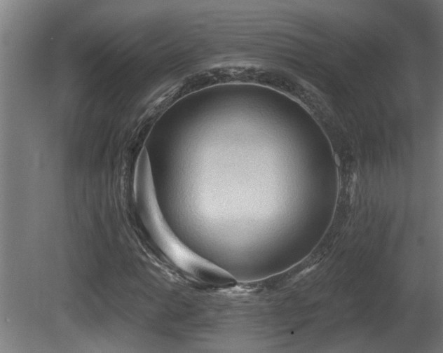X0000081281014200701111326