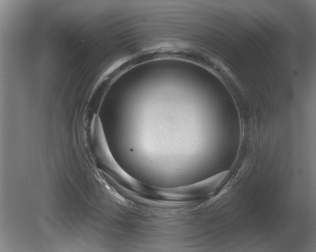 X0000081281018200701111326