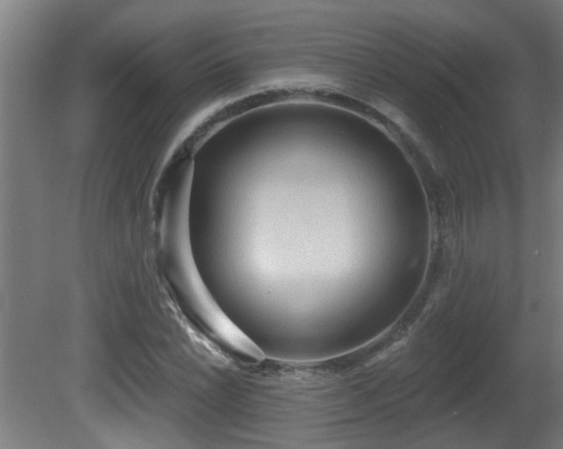X0000081281022200701111327
