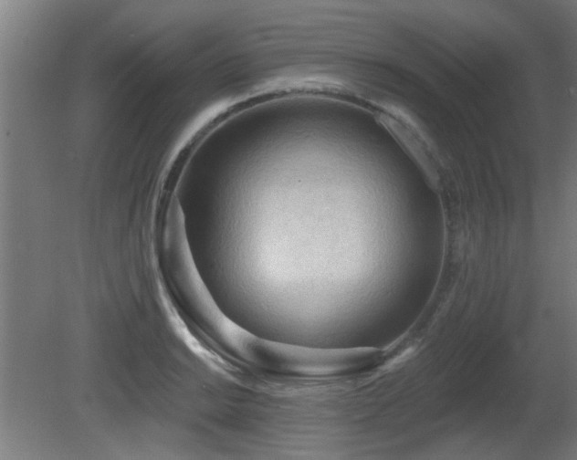 X0000081281038200701111327