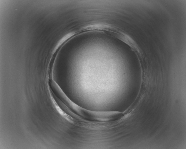 X0000081281042200701111327