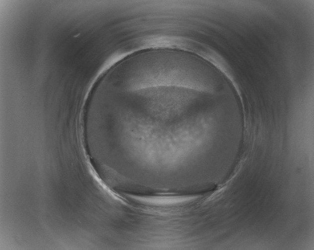 X0000081281045200701111327