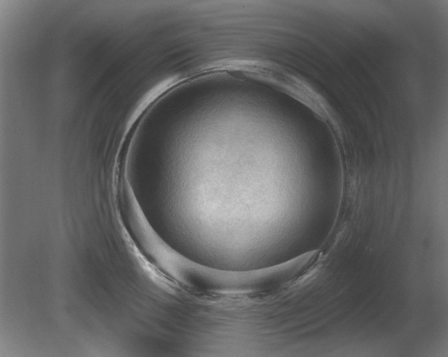 X0000081281050200701111327