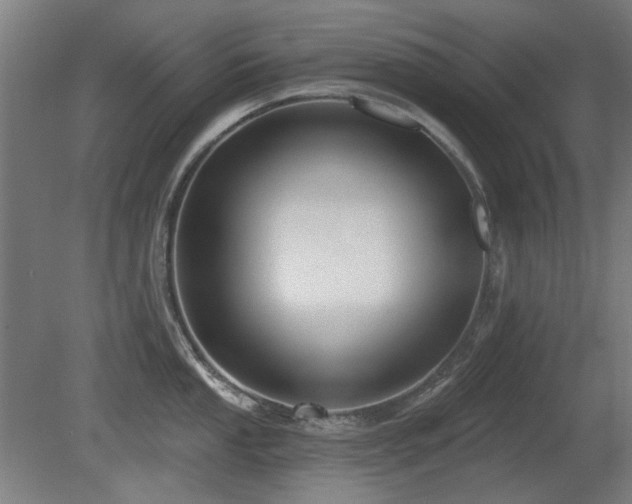 X0000081281053200701111327