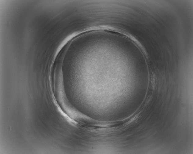 X0000081281054200701111327
