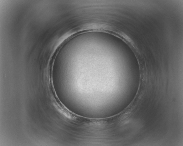 X0000081281078200701111326