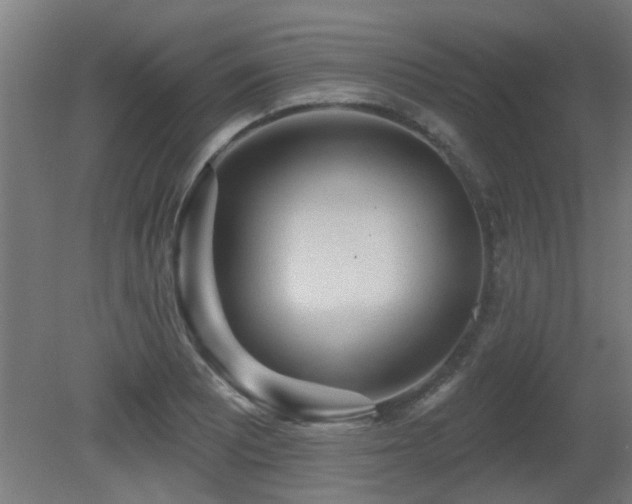 X0000081281081200701111326