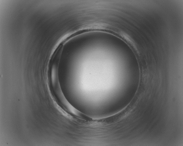X0000081281085200701111326
