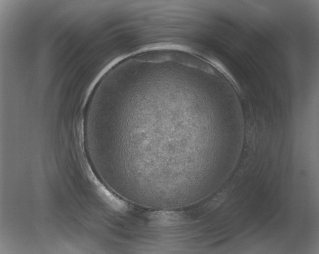 X0000081281092200701111326