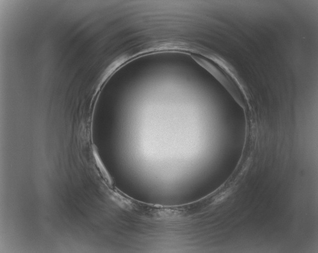 X0000081281097200701111326