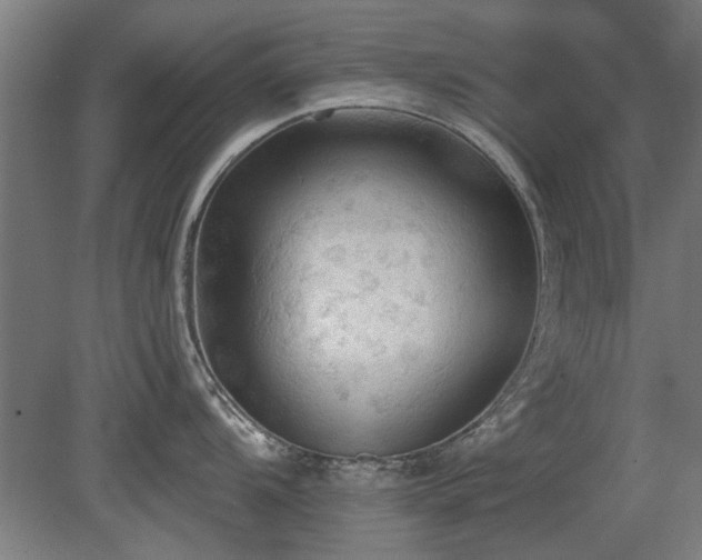 X0000081281104200701111325