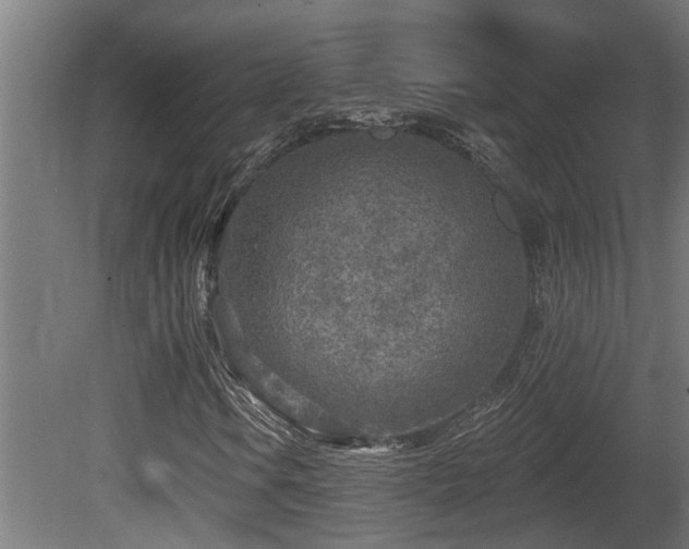 X0000081281106200701111325