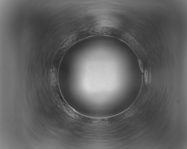 X0000081281107200701111325