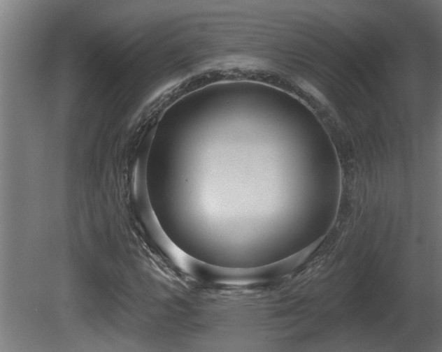 X0000081281112200701111325