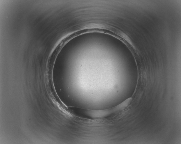 X0000081281116200701111325