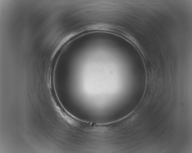X0000081281131200701111325
