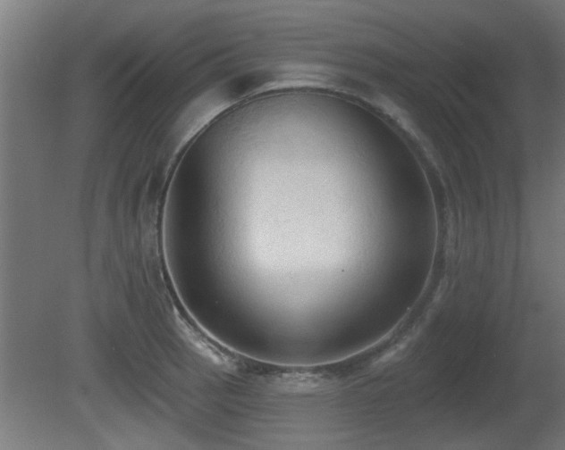 X0000081281137200701111325