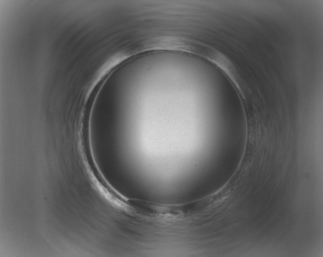 X0000081281139200701111325