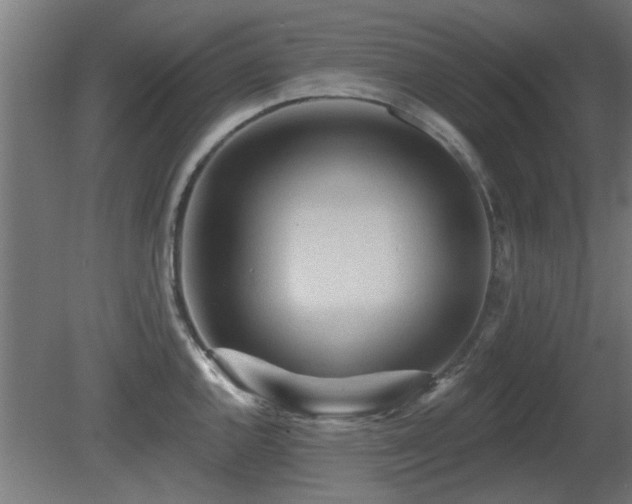 X0000081281144200701111325