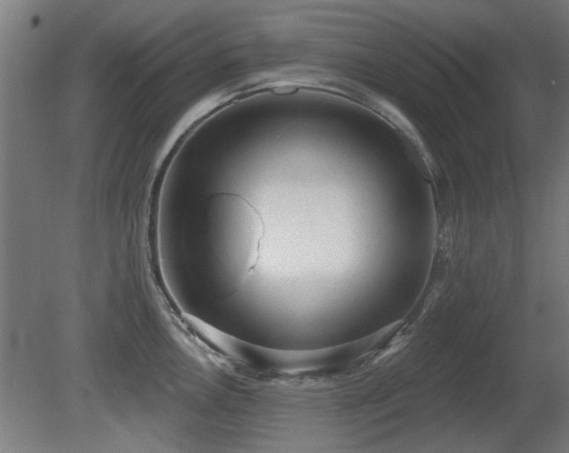X0000081281146200701111325
